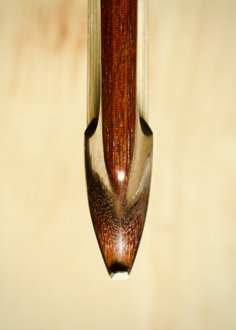 Bow head in profile, pernambuco
